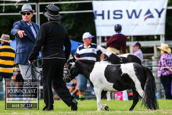 MiltonShow2018_1232