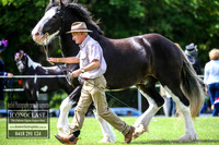 MiltonShow2018_1284