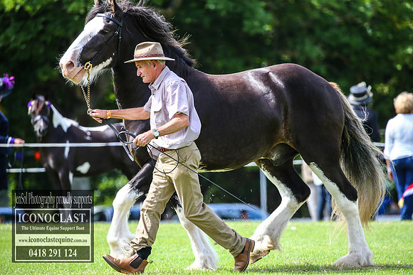 MiltonShow2018_1284