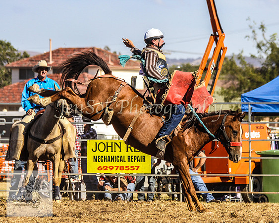 Queanbeyan 355