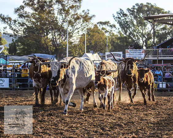 Queanbeyan 674