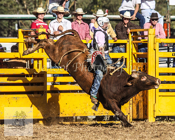 Queanbeyan 427