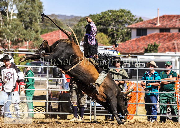 Queanbeyan 237