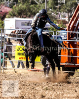 Queanbeyan 027