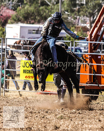 Queanbeyan 027