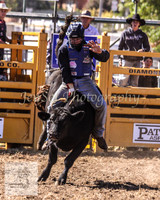 Queanbeyan 015