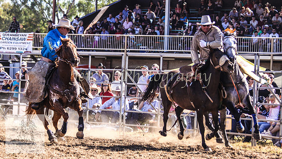 Queanbeyan 339