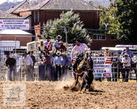 Queanbeyan 109