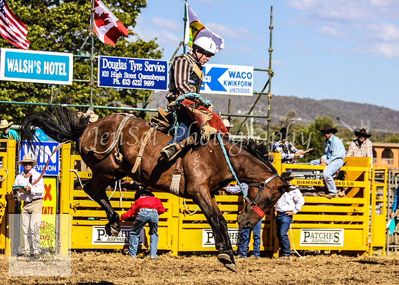 Queanbeyan 283