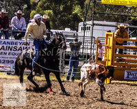 Queanbeyan 045
