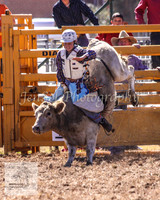 Queanbeyan 005