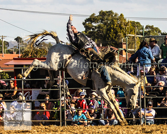 Queanbeyan 526