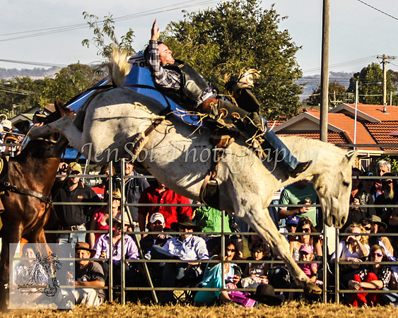 Queanbeyan 523