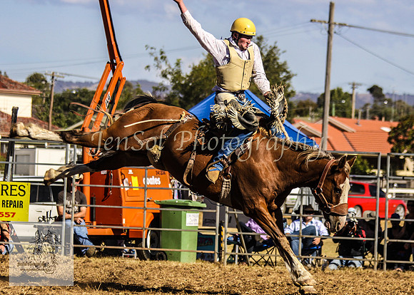 Queanbeyan 314