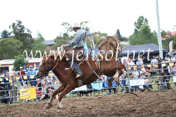 JindabyneRodeo2016_4599