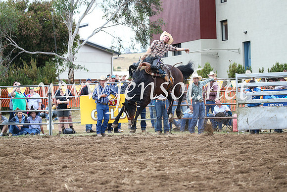 JindabyneRodeo2016_4531