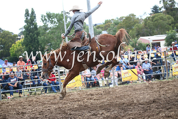 JindabyneRodeo2016_4615