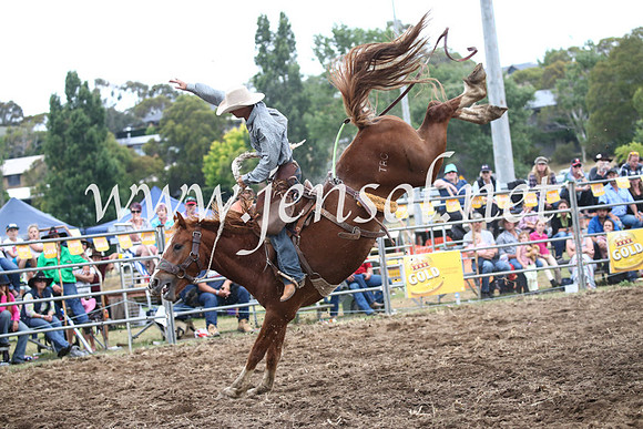 JindabyneRodeo2016_4612