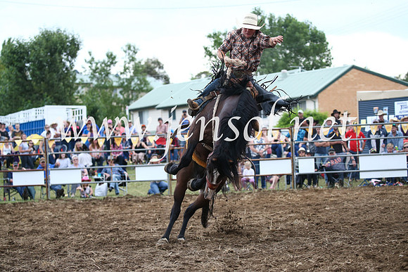 JindabyneRodeo2016_4582