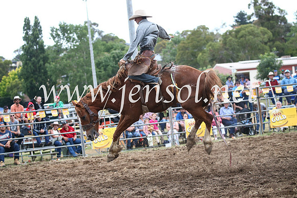JindabyneRodeo2016_4593
