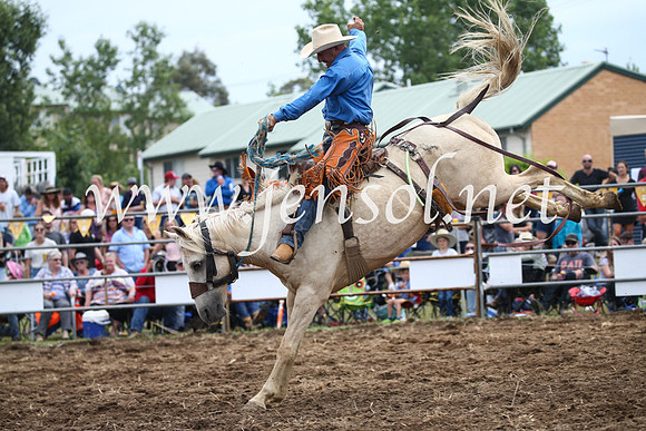 JindabyneRodeo2016_3061