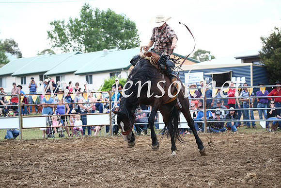 JindabyneRodeo2016_4579