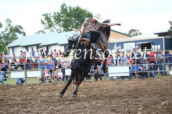 JindabyneRodeo2016_4578