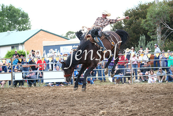 JindabyneRodeo2016_4555