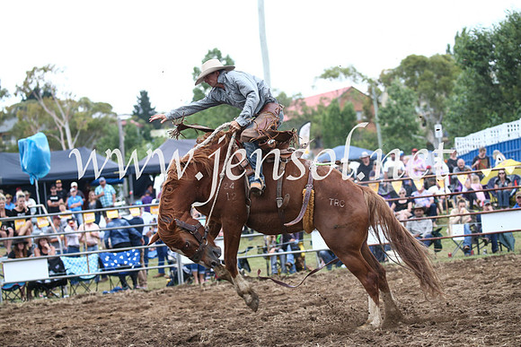 JindabyneRodeo2016_4597