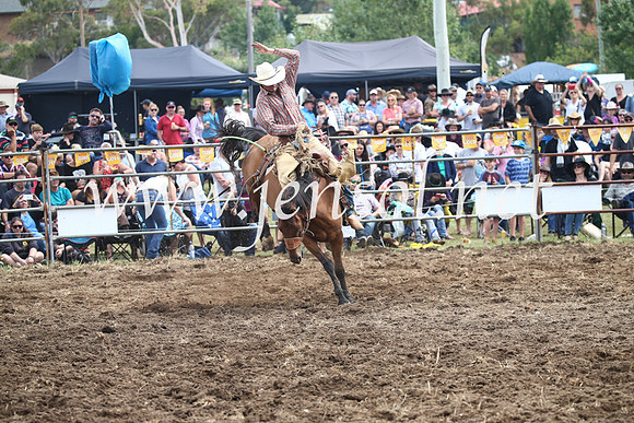 JindabyneRodeo2016_2989