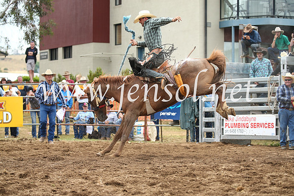 JindabyneRodeo2016_3086