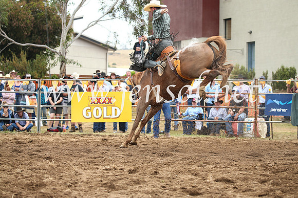 JindabyneRodeo2016_3107