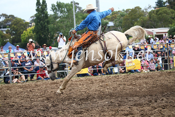 JindabyneRodeo2016_3069