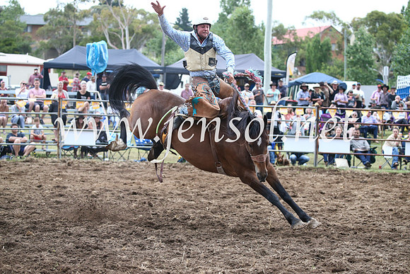 JindabyneRodeo2016_4695