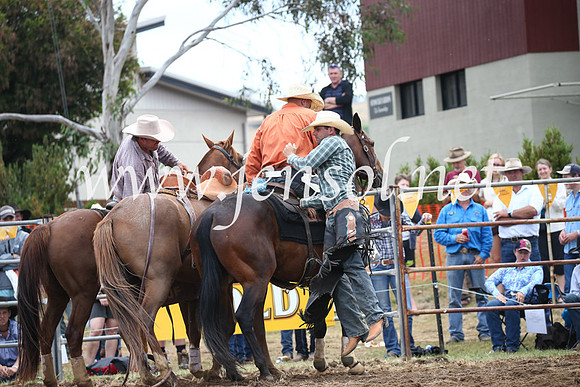 JindabyneRodeo2016_3134