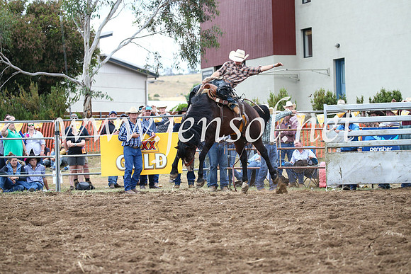 JindabyneRodeo2016_4532
