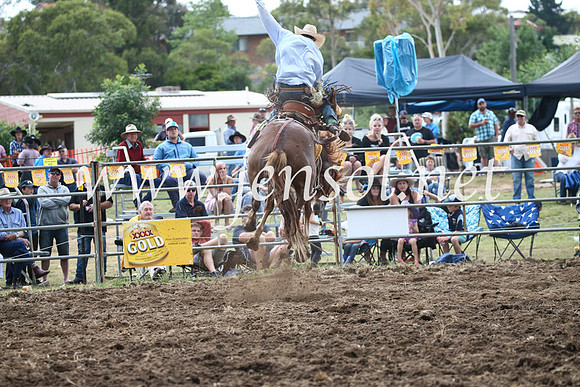 JindabyneRodeo2016_4727