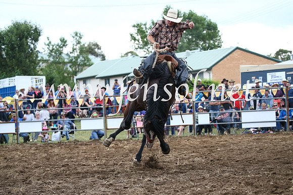 JindabyneRodeo2016_4584