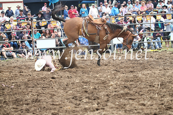 JindabyneRodeo2016_3002