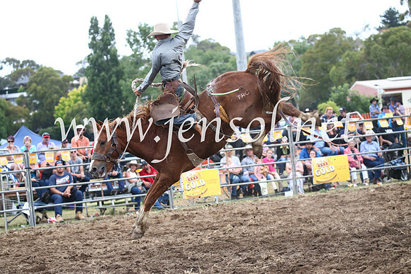 JindabyneRodeo2016_4613