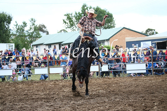 JindabyneRodeo2016_4583