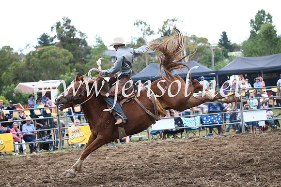 JindabyneRodeo2016_4594