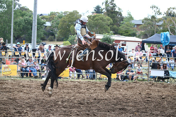 JindabyneRodeo2016_4680