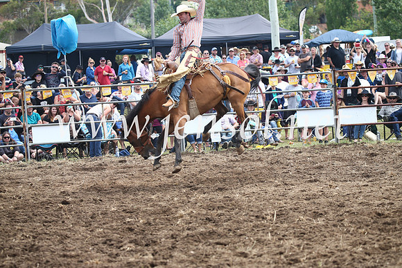 JindabyneRodeo2016_2984