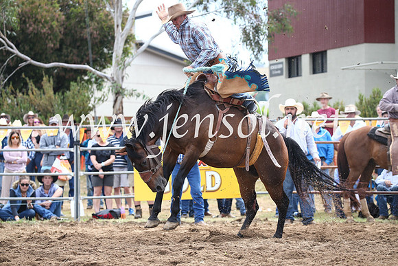 JindabyneRodeo2016_3015