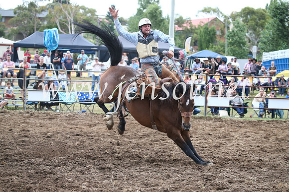 JindabyneRodeo2016_4689