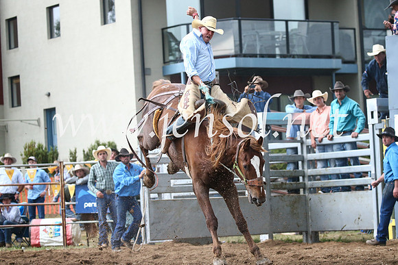 JindabyneRodeo2016_4797