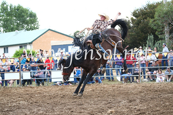 JindabyneRodeo2016_4554