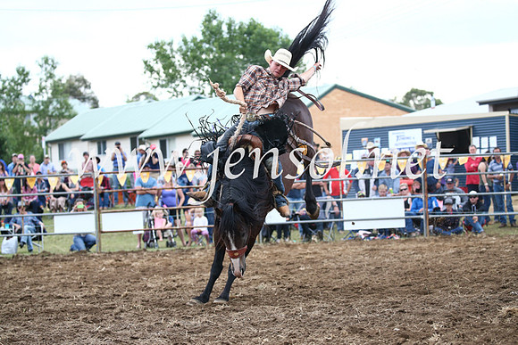 JindabyneRodeo2016_4581