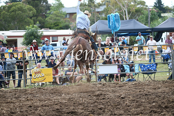 JindabyneRodeo2016_4729